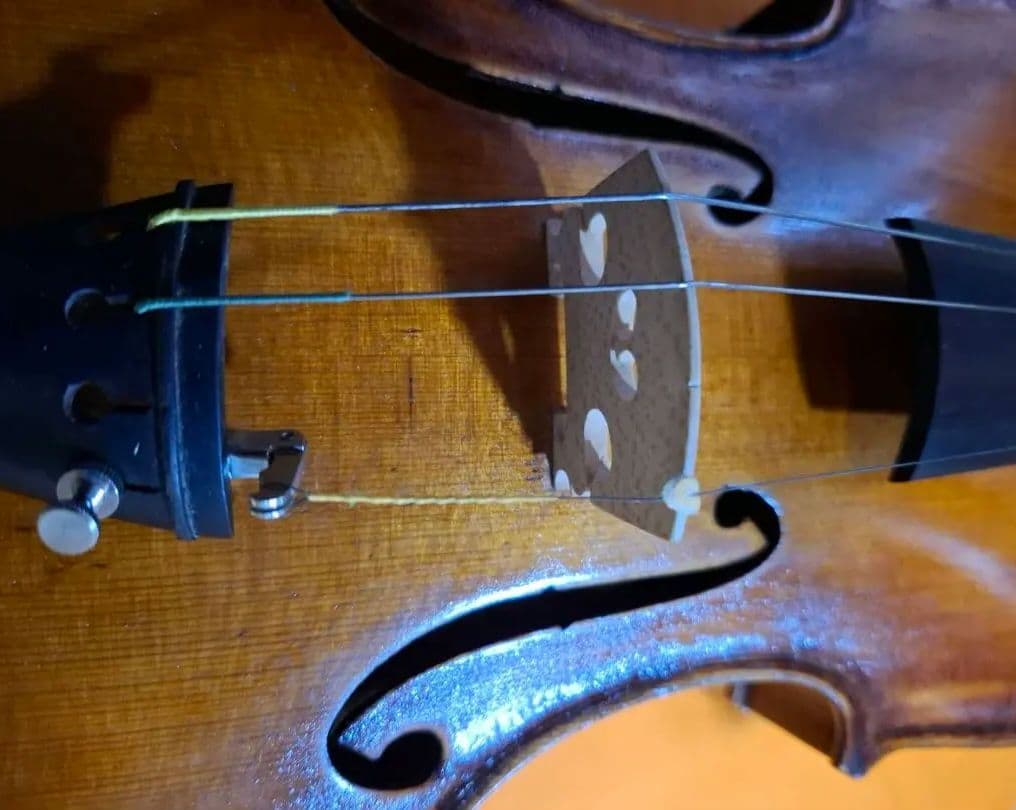 (エンリスク チェルティー 裏板のみ制作)のバイオリン