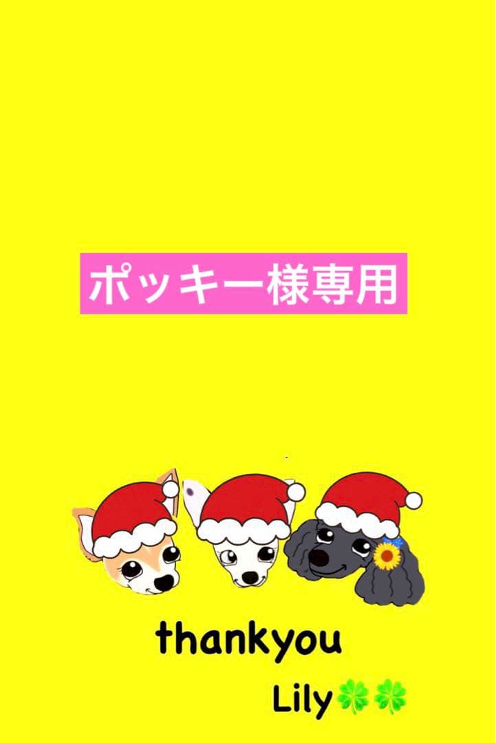 ポッキー ꒡̈⃝Lily꒡̈⃝犬服ハンドメイド