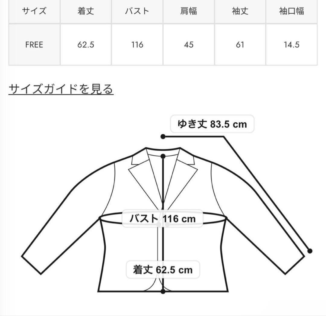 ミチSLY コラボレザージャケット