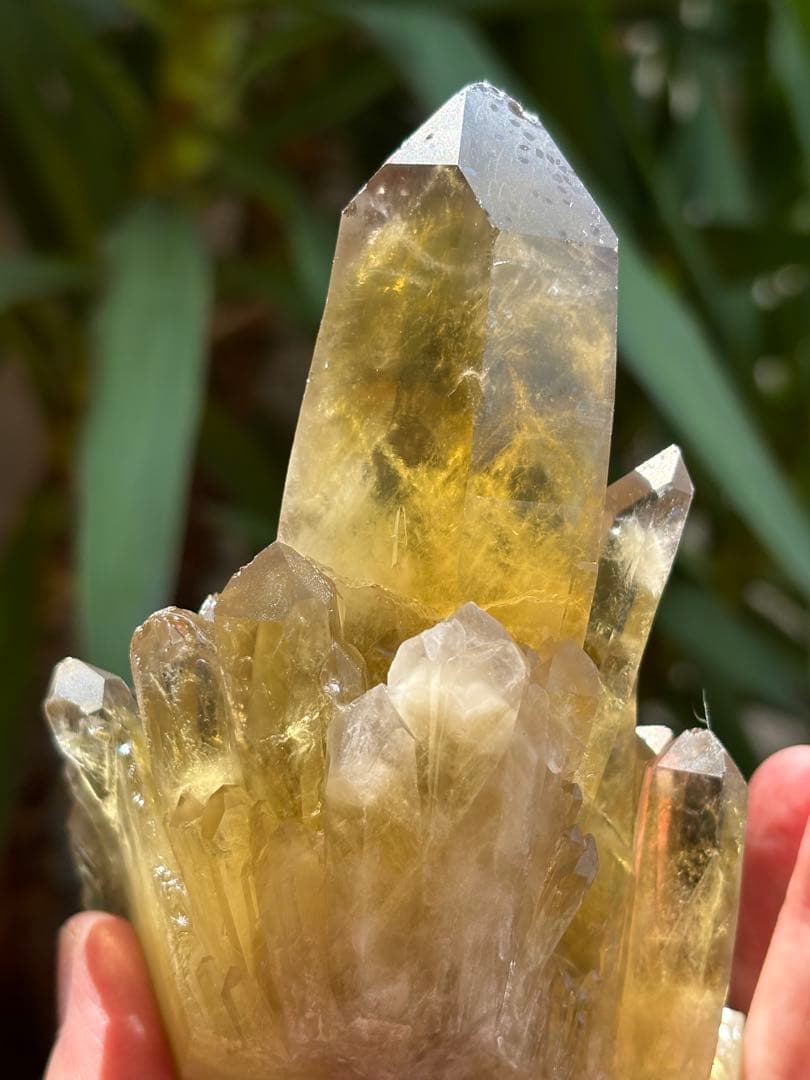 ブラジル産シトリンクラスター561g 花のようなクラスター　透明度　照りツヤ有