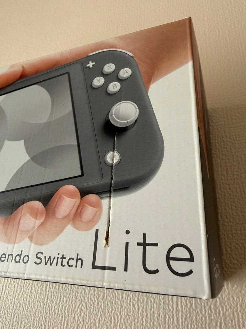 Nintendo Switch Lite グレー ケース付き　箱に傷あり