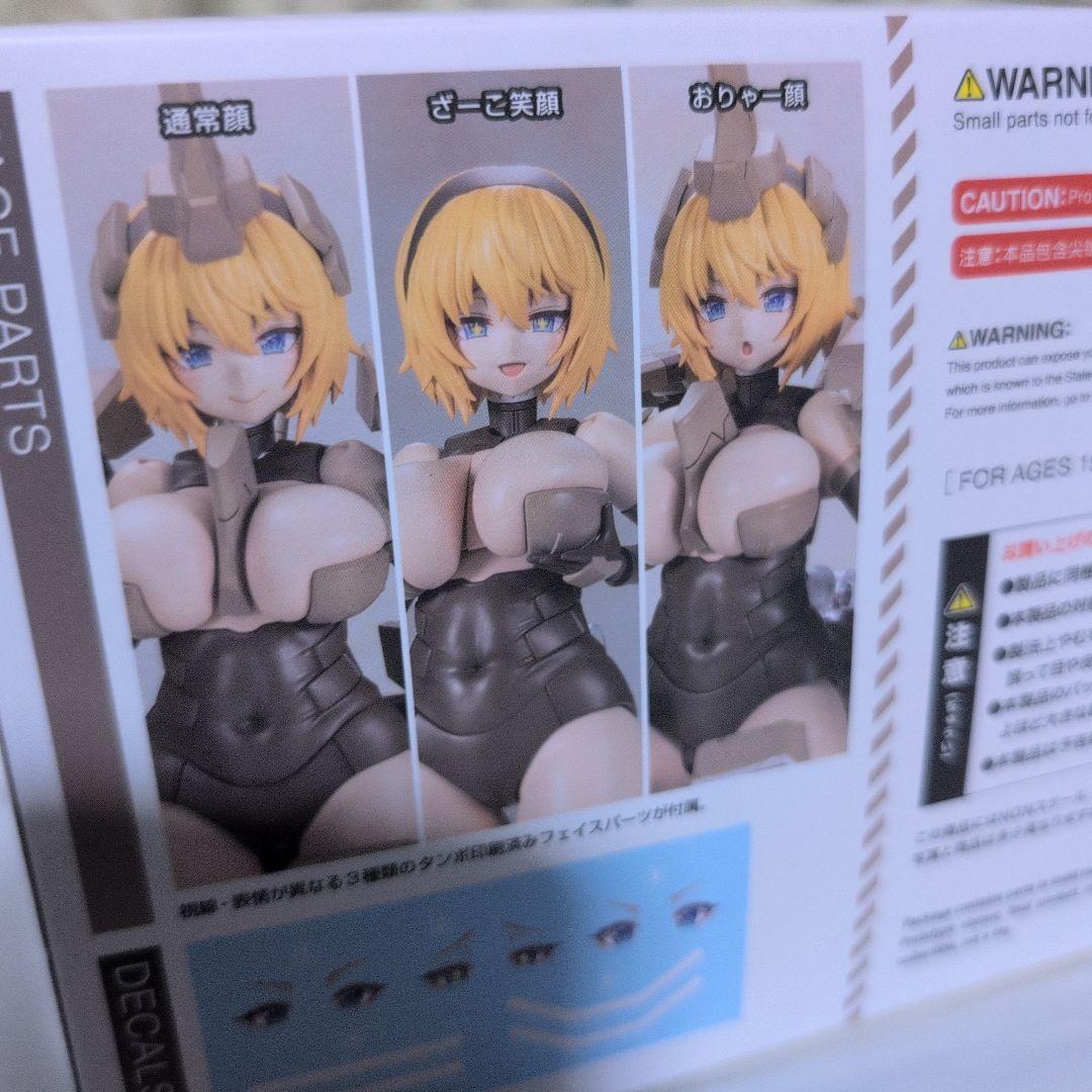 すぐ消します）新品未開封　フレームアームズ・ガール 輝鎚・甲