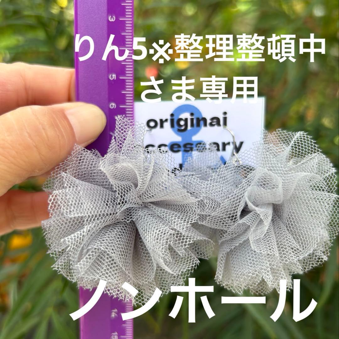 りん5※整理整頓中さま専用ノンホールチョウバネ