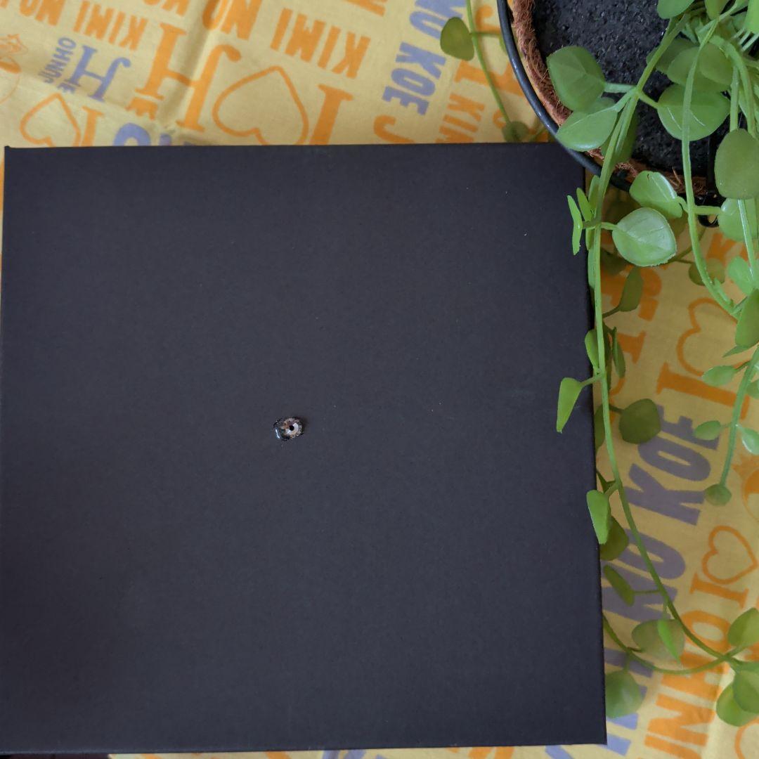 赤バラのネックレス