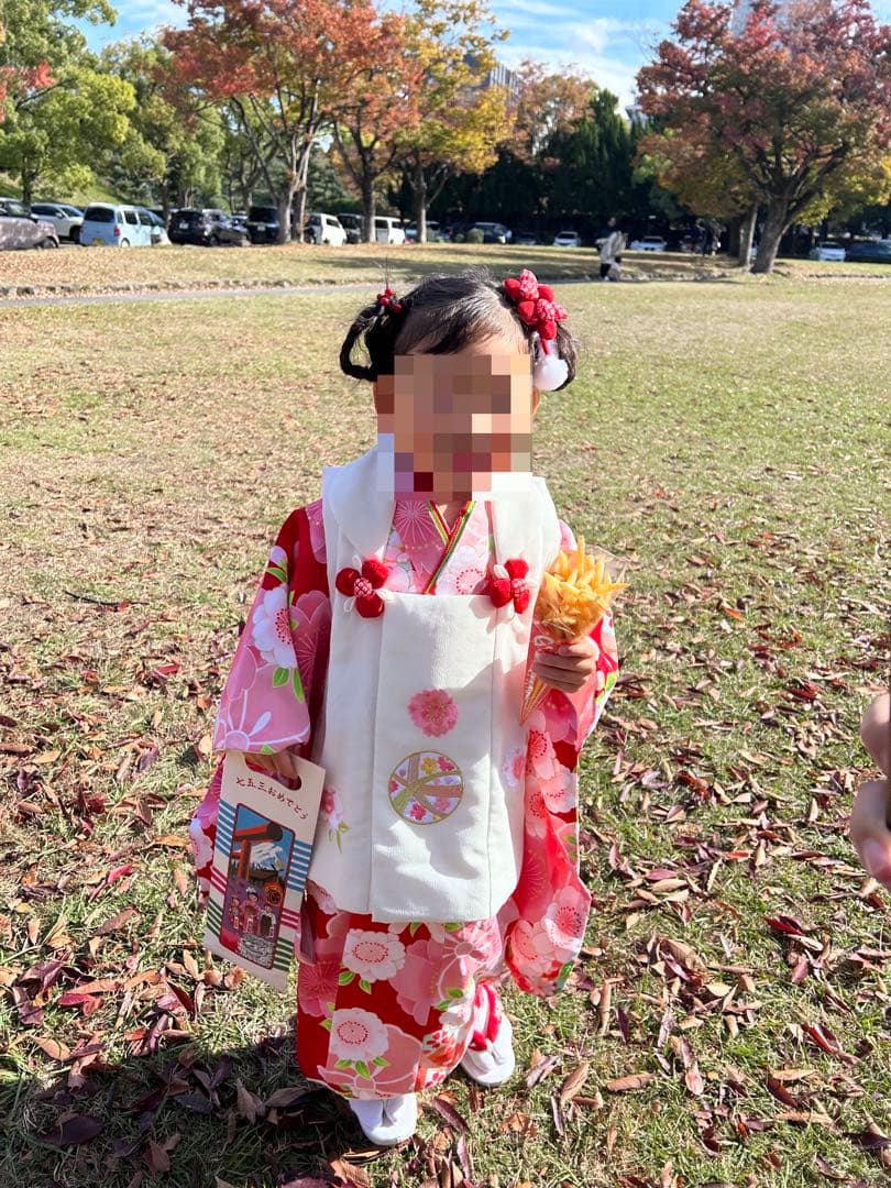 七五三　3歳　セット　着物　一式　京都　花ひめ　京美