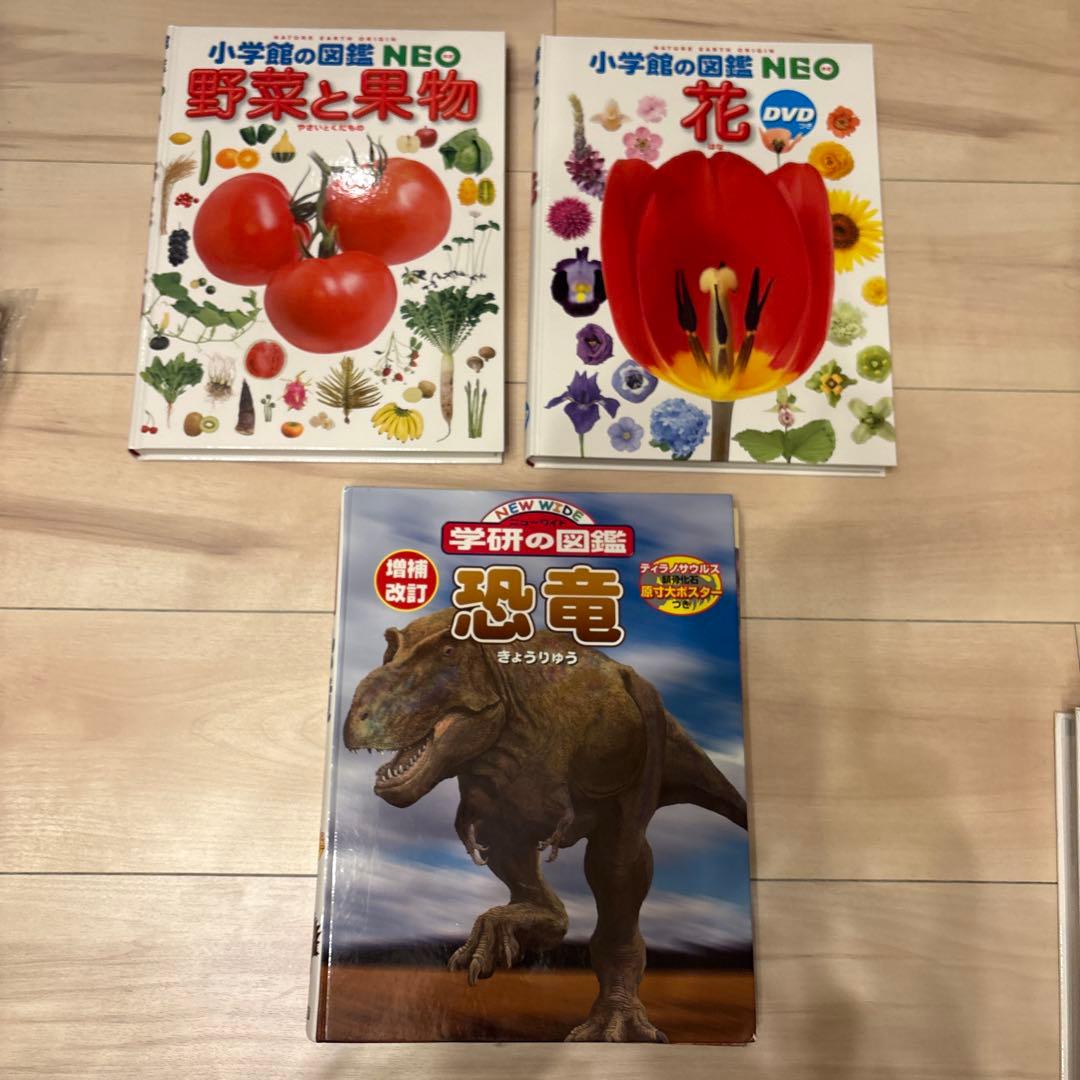 小学館の図鑑NEO DVD付 14冊＋1冊