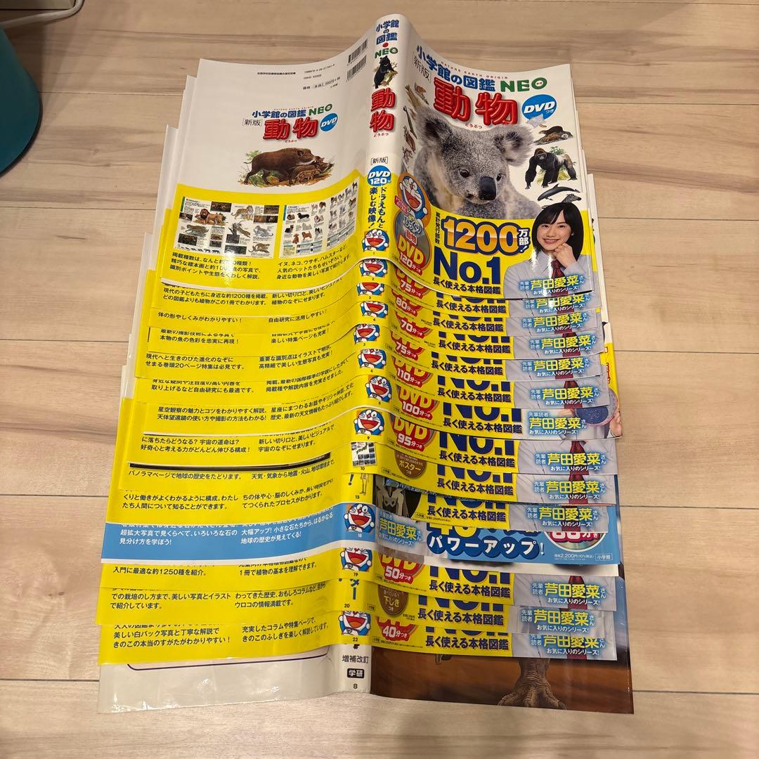 小学館の図鑑NEO DVD付 14冊＋1冊