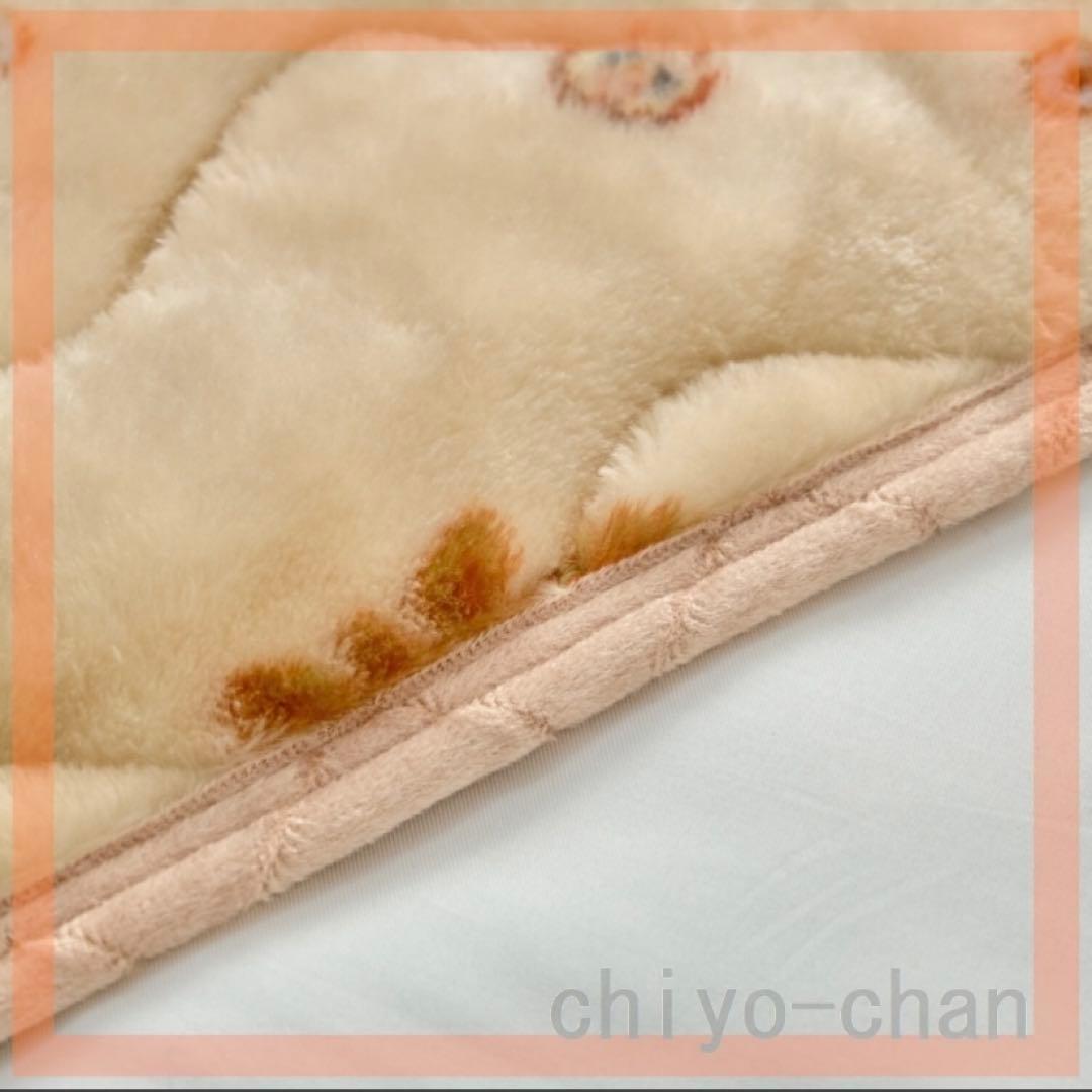 2点セット！　モリリン アルミ蒸着シート入り 吸湿発熱 毛布&敷きパッド