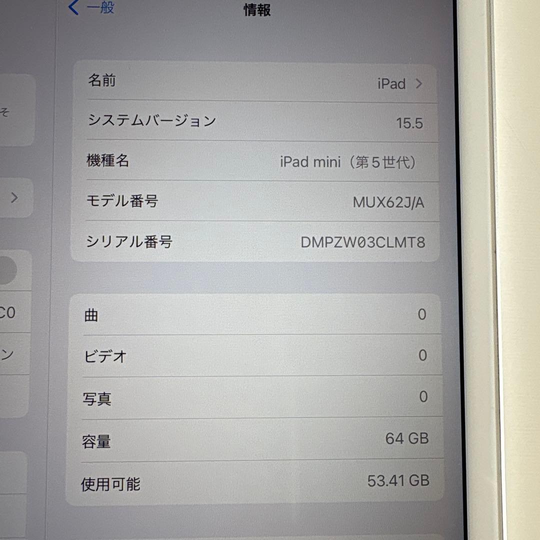 iPad mini5 セルラー 64GB SIMフリー(61)