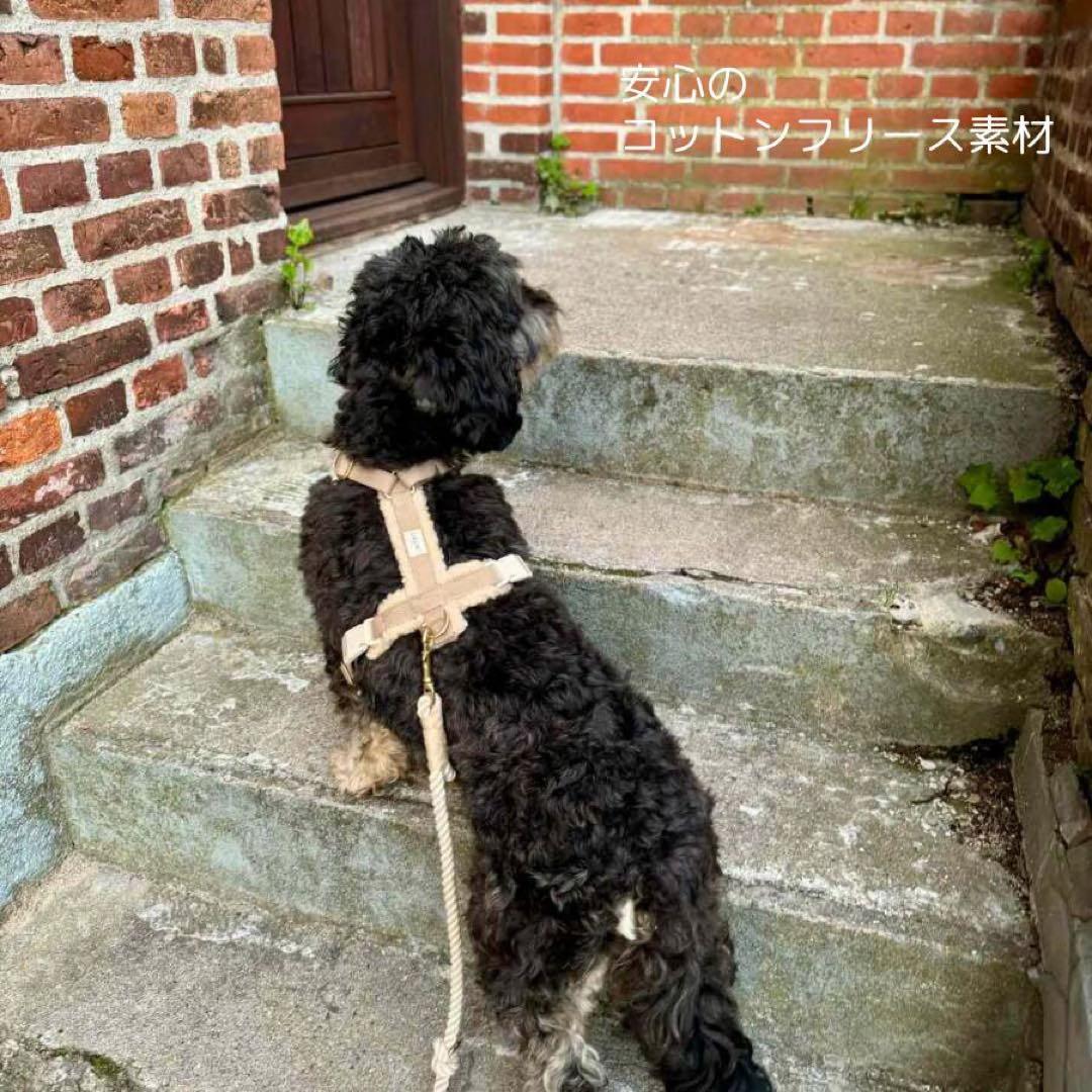 DREW's テディー ハーネス グレージュ S おしゃれ 犬 ペット 散歩