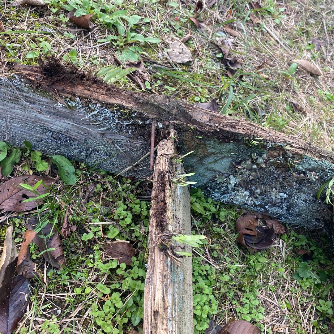 木製プランターラック ジャンクガーデン　苔　古民具　階段　ハシゴ　シャビー