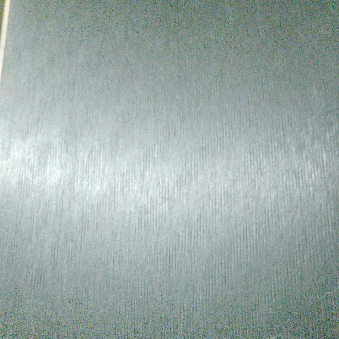 ElanSLX ジュニア SL用 エラン スラ板 139cm