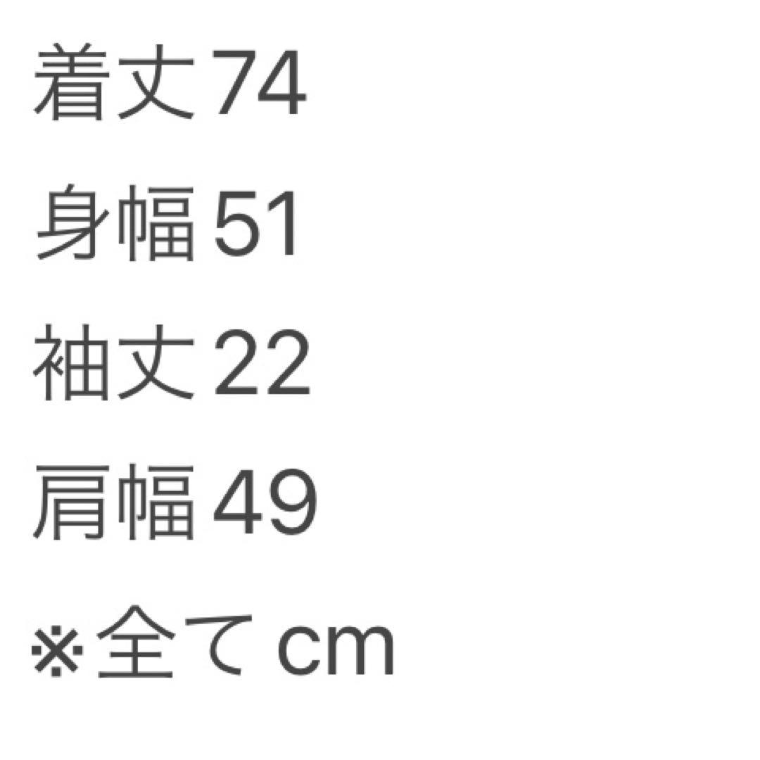 ドッチャナイガナ。様ステューシーHAZEStussyエリックヘイズ