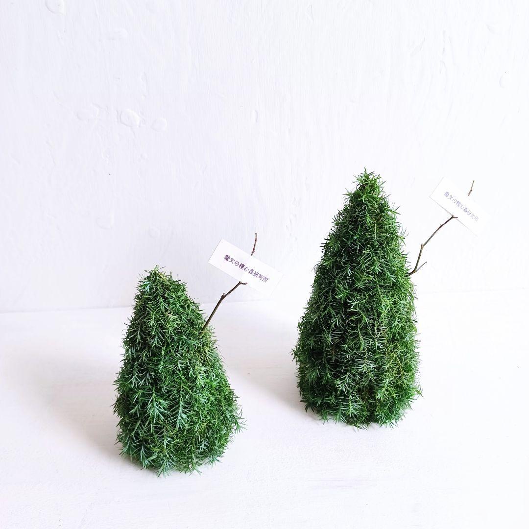 新品 未使用 ドライフラワー リース ツリー インテリア オブジェ order