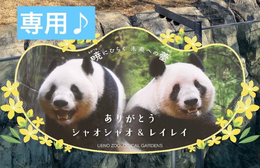 専用　シャオシャオ レイレイ　シャンシャン