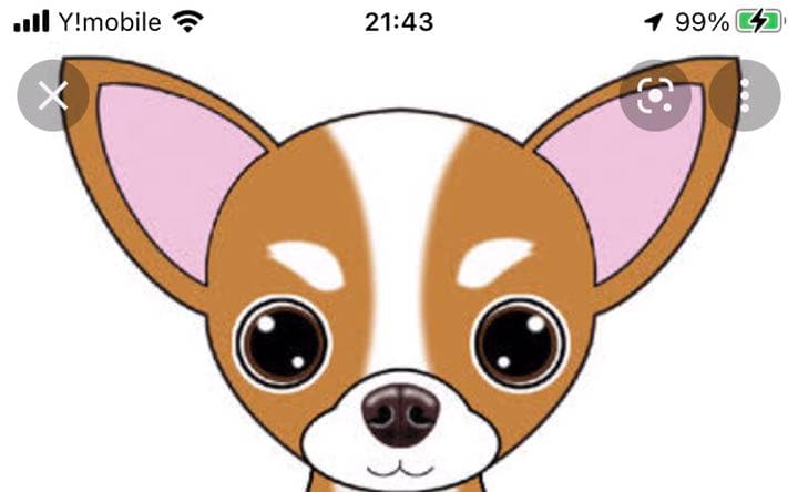 mei確認用クッキー型