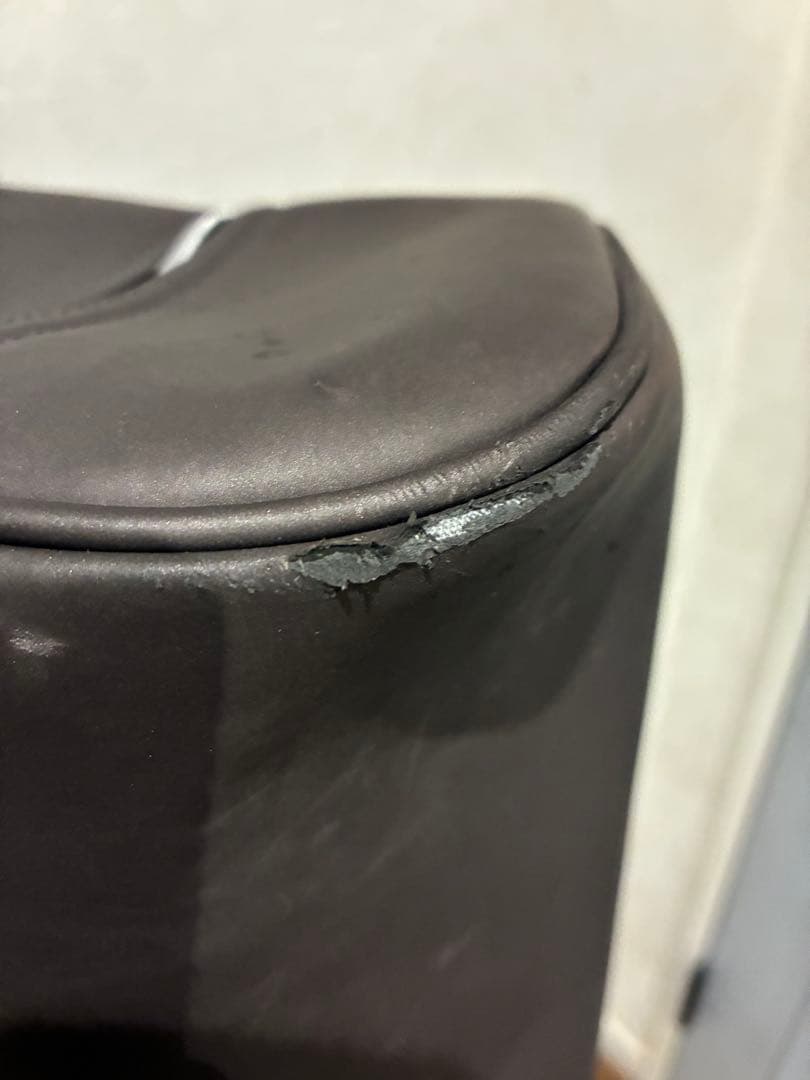 Titleist Mercedes-Benz ゴルフバッグ