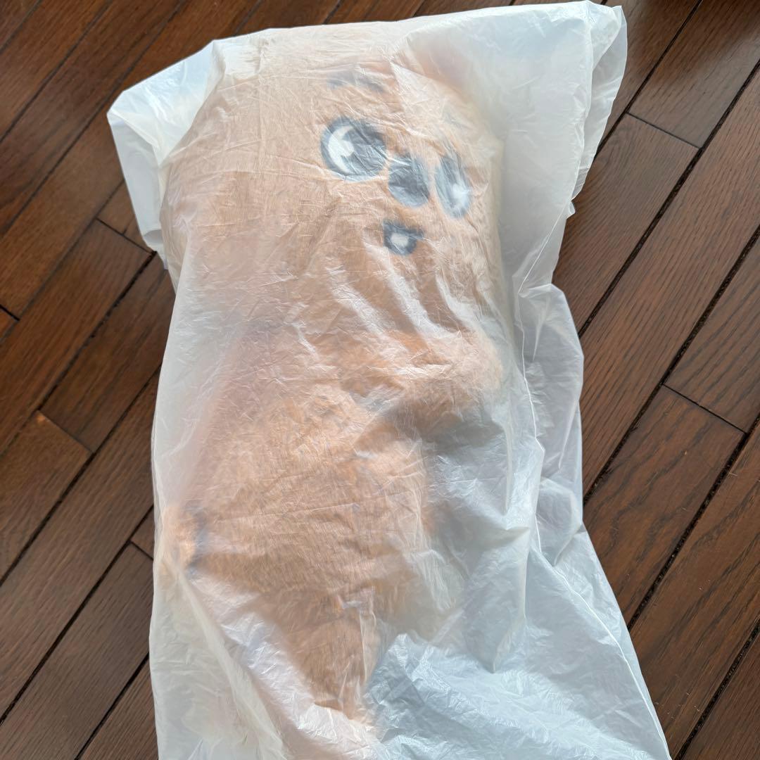 Straykids POPUP SKZOO BAG ハンクォッカ