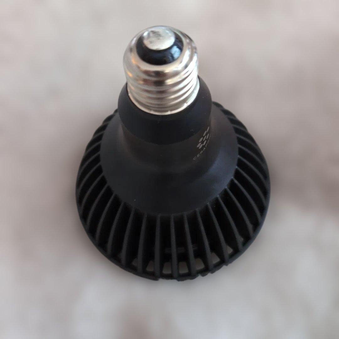 京セラ CERAPHIC いきもの電球 5000K(昼白色) 広角