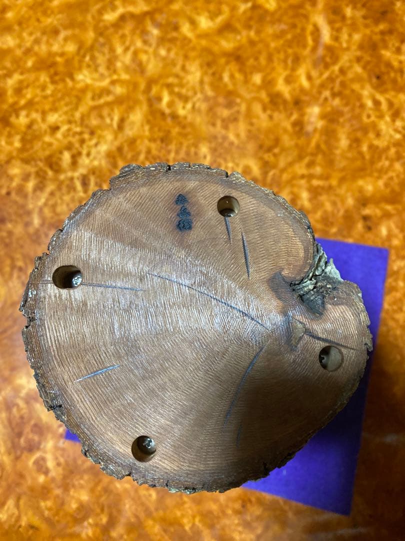 入手困難 新品　三本木森兵衛 A+Ω登り木止まり木