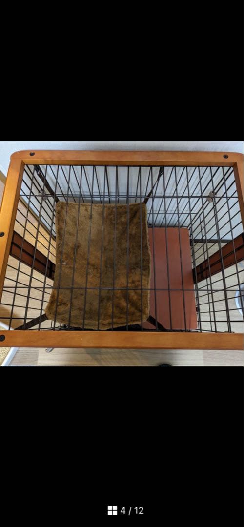 ボンビアルコンウッドワンサークルキャットミニ