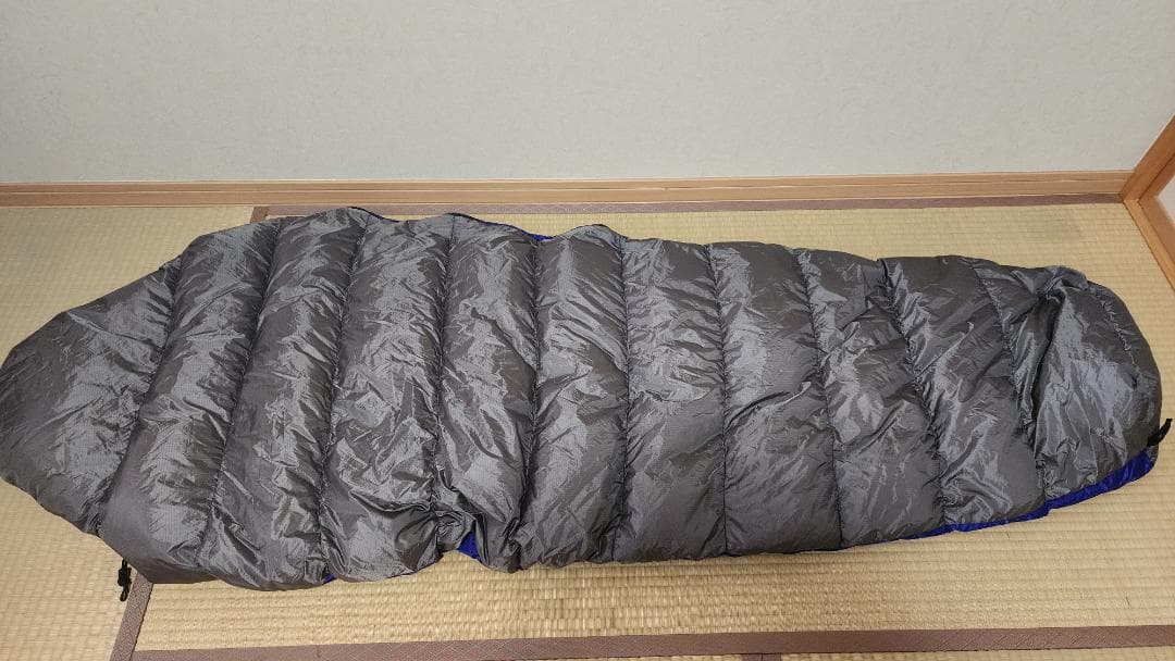 ナンガ（NANGA）　ポーリッシュバッグ250DX　レギュラーサイズ