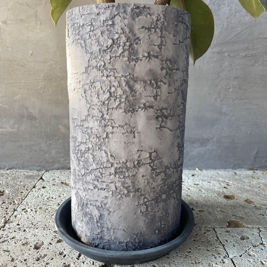 大型　フィカス　バーガンディ　アンティーク調　陶器鉢　植え込み発送