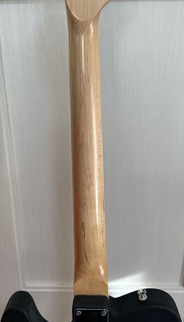 エレキギター (テレキャスタータイプ) 5way切替&2.5Kg &ソフトケース