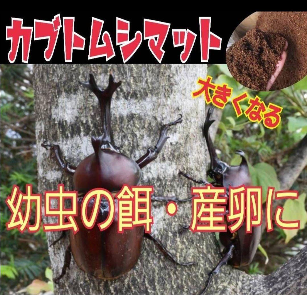カブトムシ幼虫が大きくなります！発酵マット【たっぷり50リットル】雑虫わきません