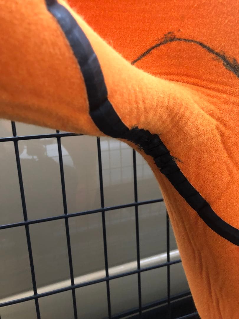 マキシム maximウェットスーツ セミドライ プレミアム