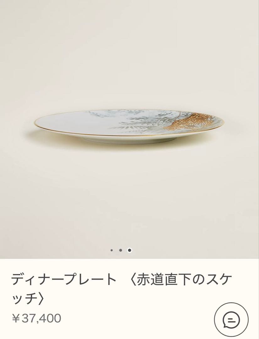 エルメス 赤道直下のスケッチ ディナープレート 2枚セット