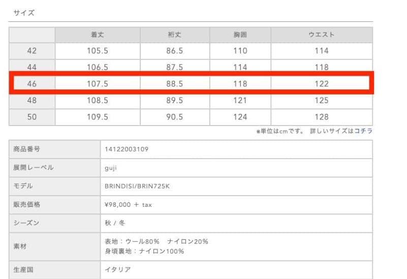 定価9.8万 美品 HEVO イーヴォ BRINDISIブリンディジ 46