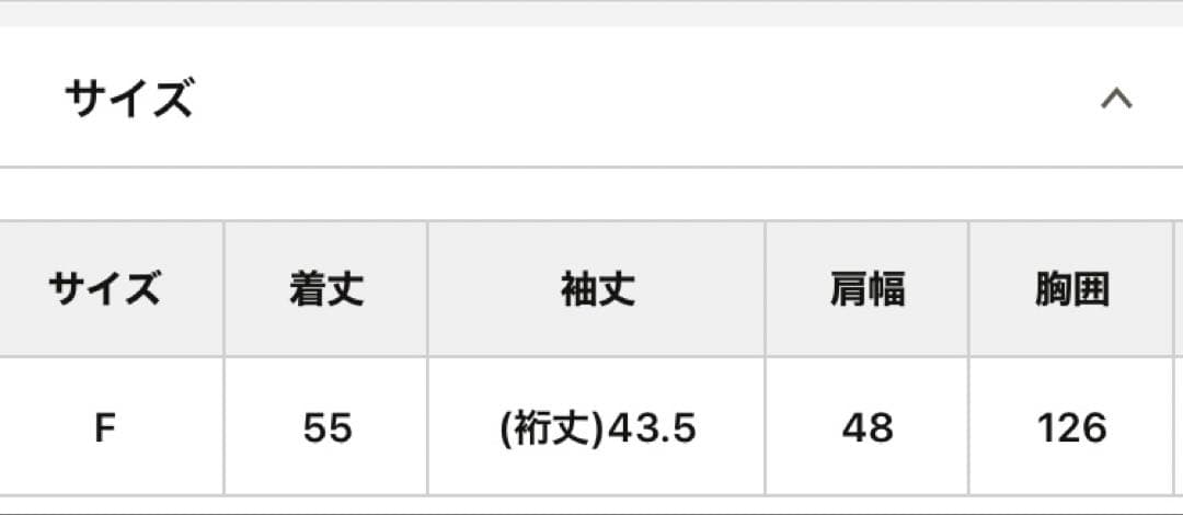 ウィムガゼット【THE PAUSE】パフスリーブブラウス