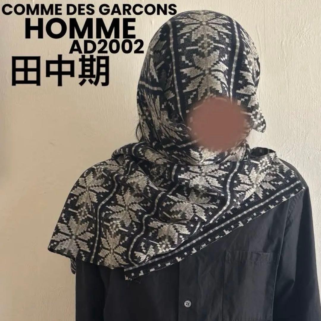 【AD2002】COMME des GARÇONS HOMME 田中オム 超大判