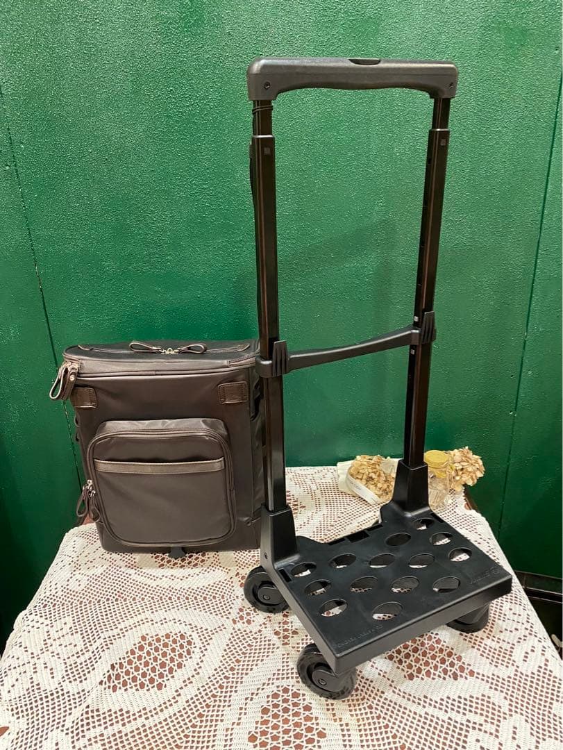 スワニー　キャリーバック リニーエ ショッピングカート