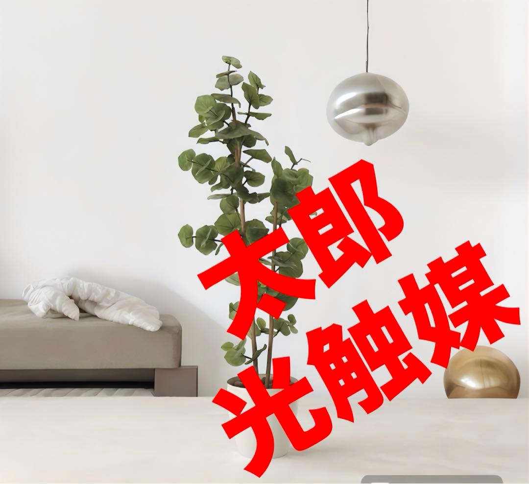 光触媒　人工観葉植物　ウォールグリーン　フェイクグリーン　シーグレープ1.6ｍ@