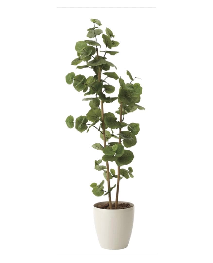光触媒　人工観葉植物　ウォールグリーン　フェイクグリーン　シーグレープ1.6ｍ@