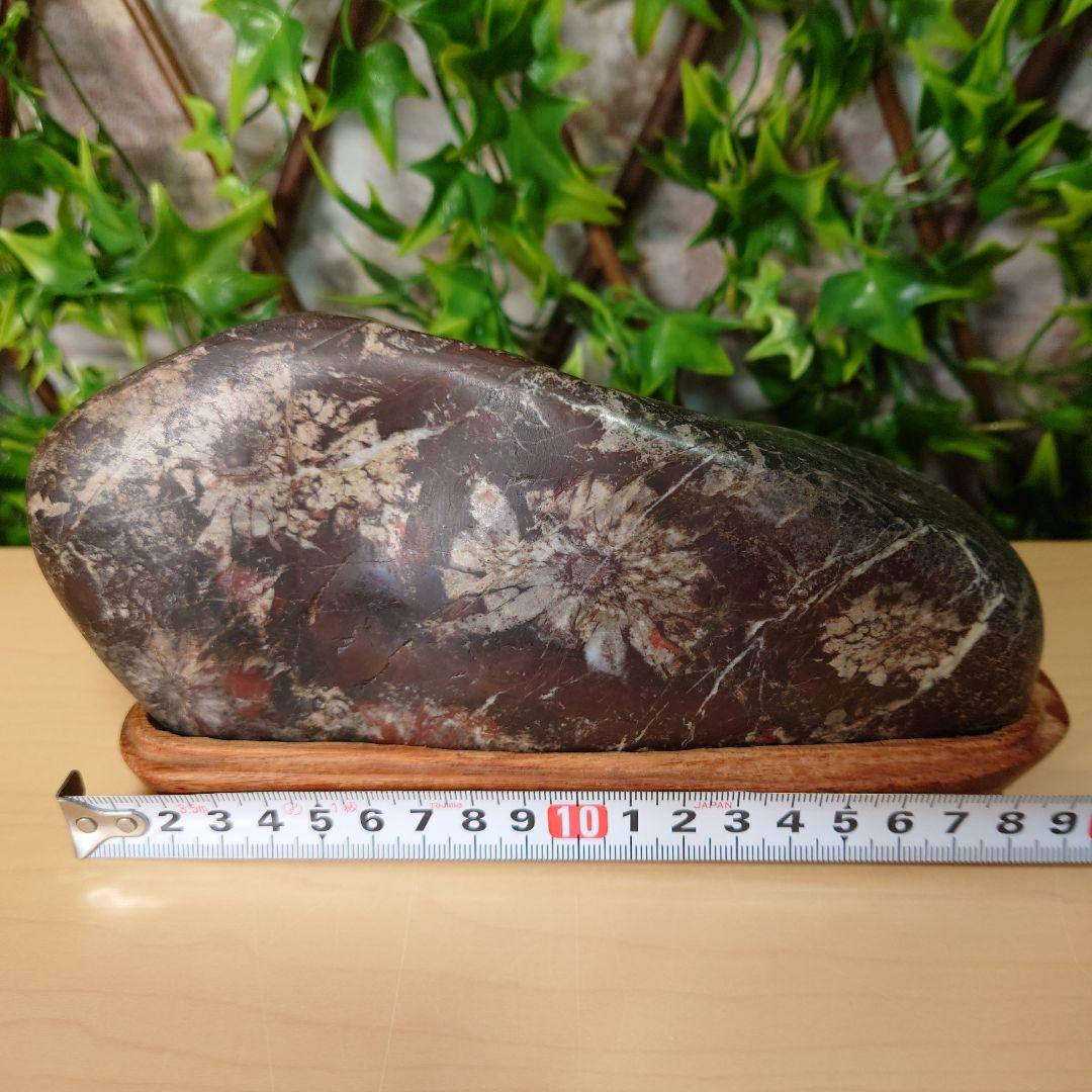 菊花石 鑑賞石　4輪の花　岐阜県根尾谷産　　台座付き 約20cm1.34kg