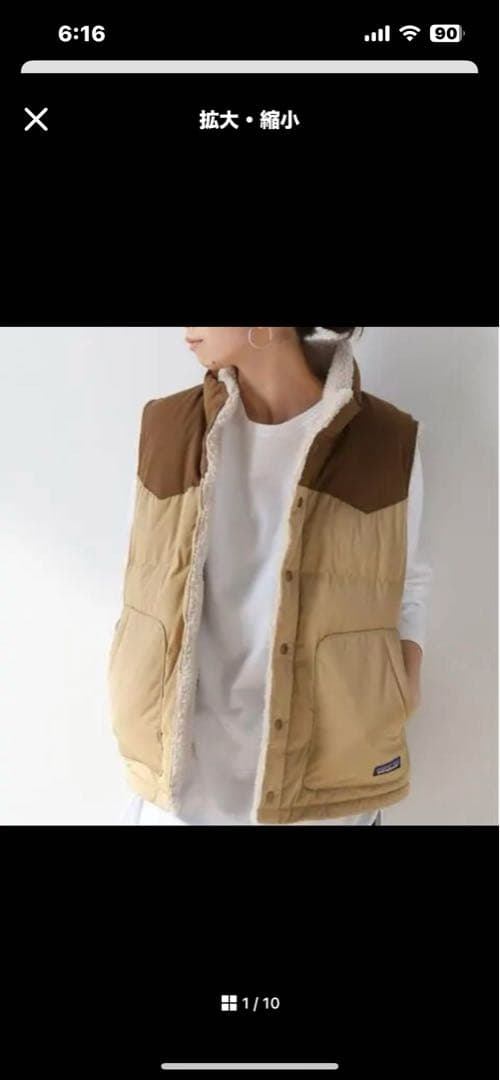 パタゴニア　リバーシブル　ビビー　ダウン　ベスト　patagonia