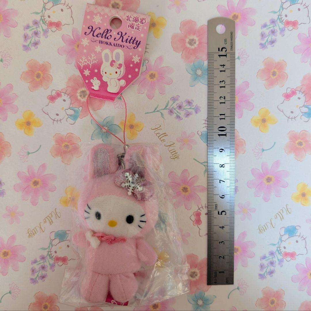 公*o様 【希少】ハローキティ　ご当地キティ　根付け　北海道　雪うさぎピンク