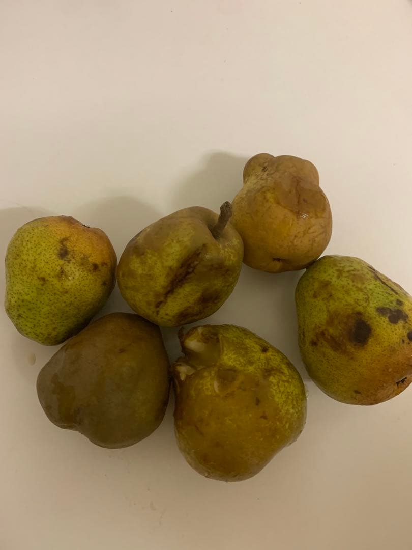 日本くだもの様