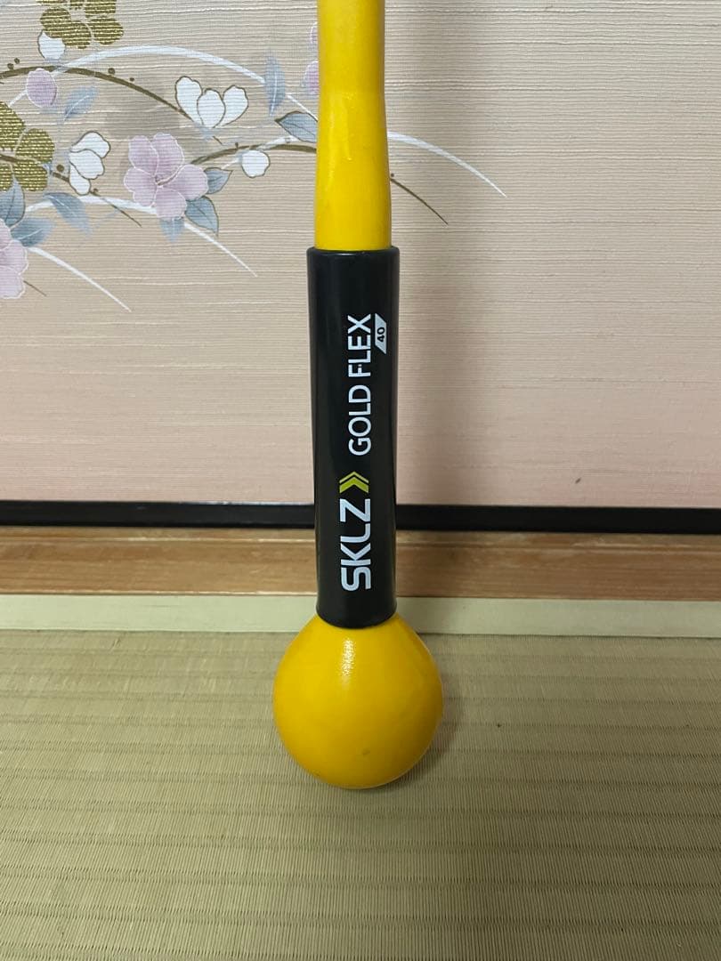 SKLZ Gold Flex ゴルフ練習用