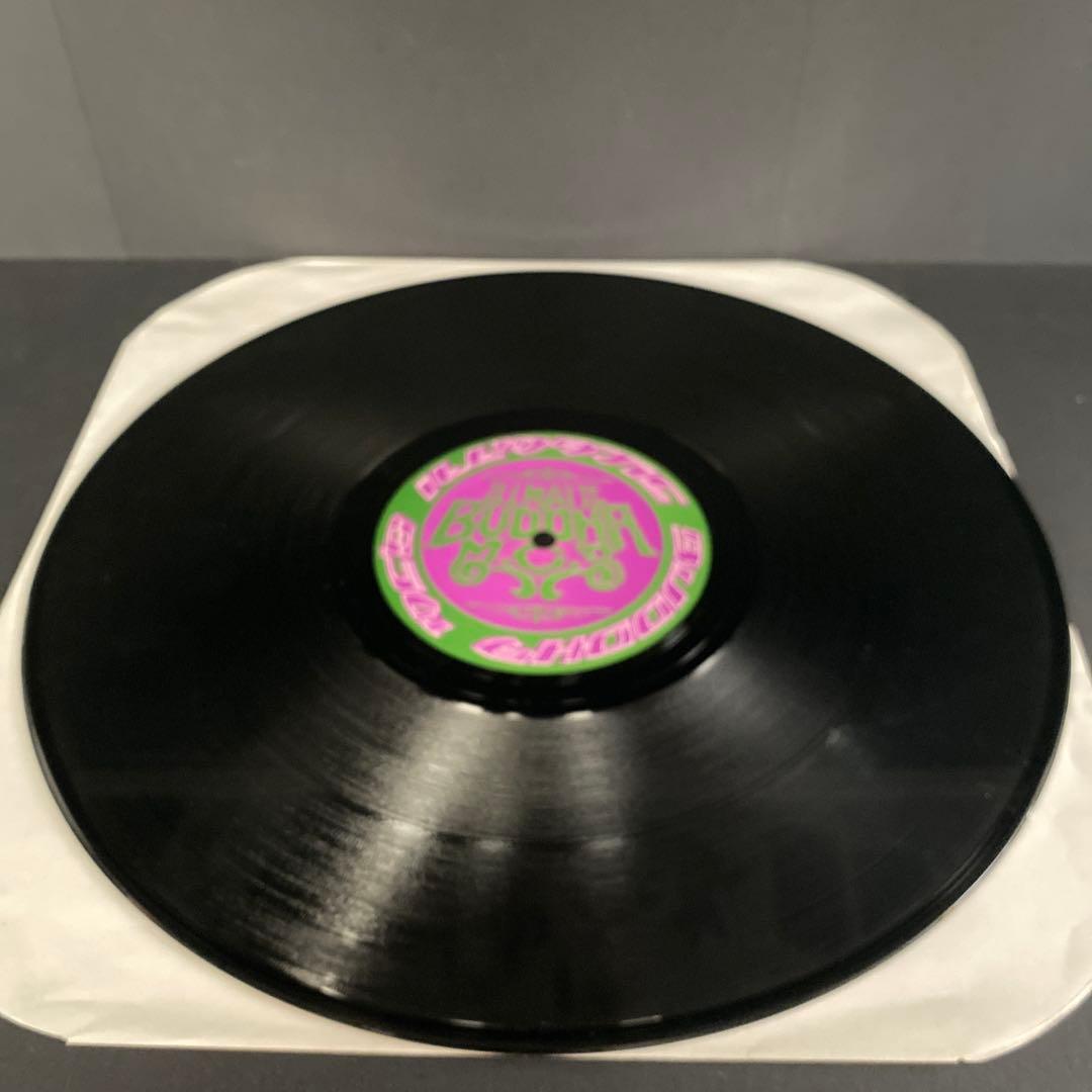 【激レア】ブッダブランド 12インチ 病める無限のブッダの世界 レコード3枚組