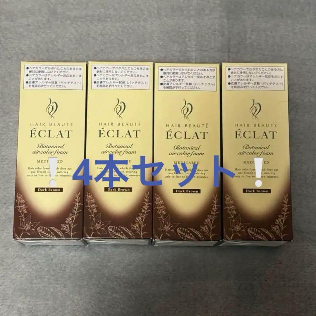 ÉCLAT ボタニカルエアカラーフォーム ダークブラウン 80g 4本セット