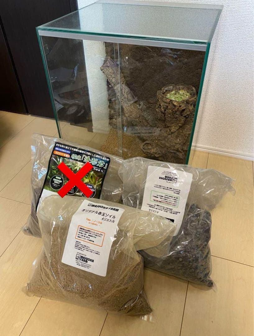 パルダリウム　ビバリウム　水槽セット
