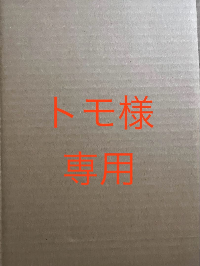 トモページ　ヘリノックス　ビーチチェア