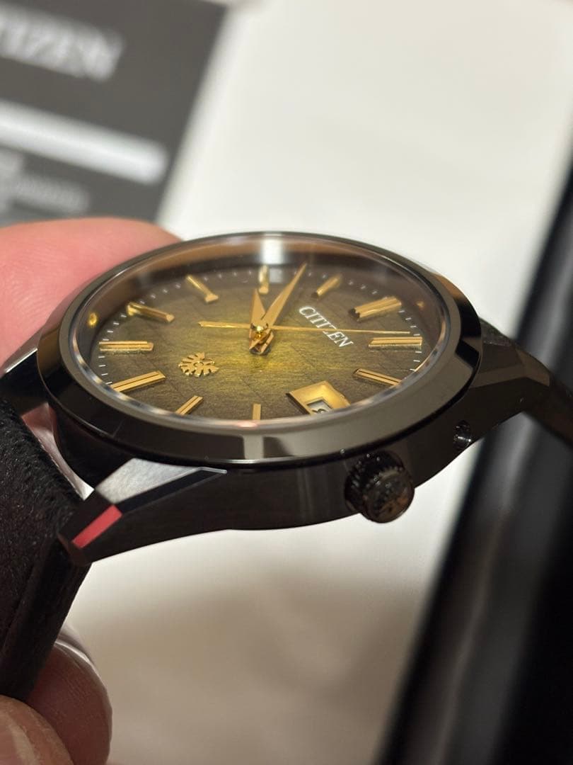 新品未使用ザ・シチズンIconic Nature Collection 「月」