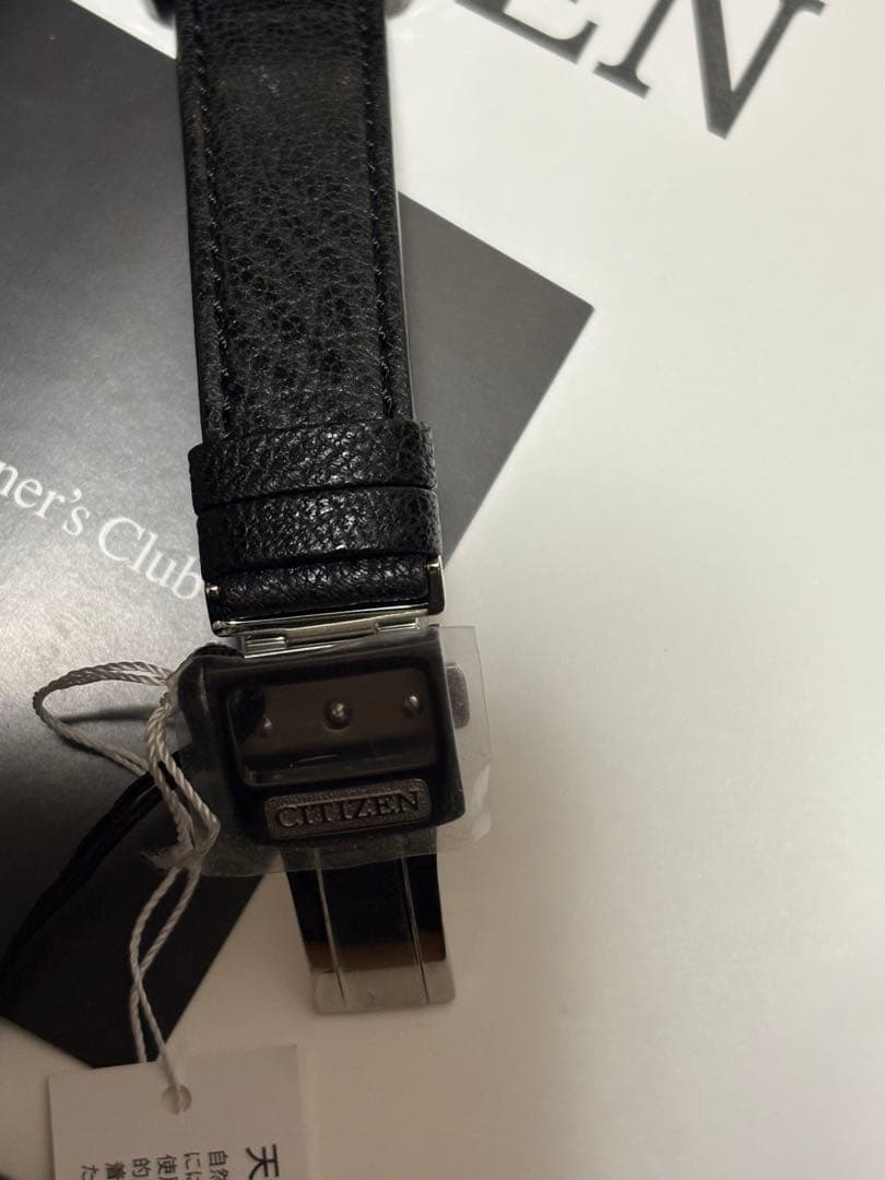 新品未使用ザ・シチズンIconic Nature Collection 「月」