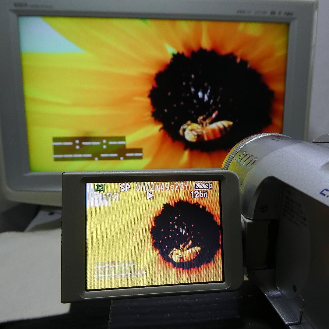 動作良好 パナソニック NV-GS150 MiniDVビデオカメラDVD化に最適