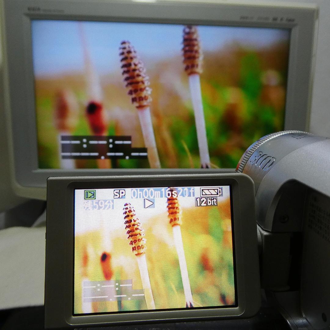 動作良好 パナソニック NV-GS150 MiniDVビデオカメラDVD化に最適